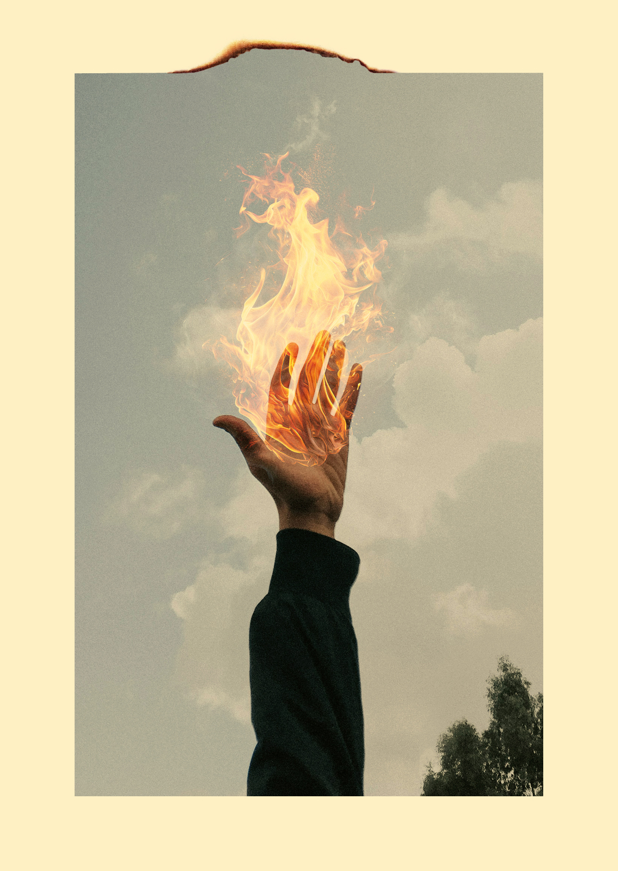 pink floyd project wish you were here a6 staand c rechtenvrij