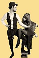 Fleetwood Mac: The Incredible Story
